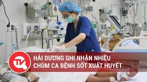 Xuất hiện chùm ca bệnh sốt xuất huyết tại thành phố Hải Dương